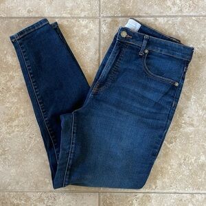 EVERLANE The Curvy High Rise Skinny Jean